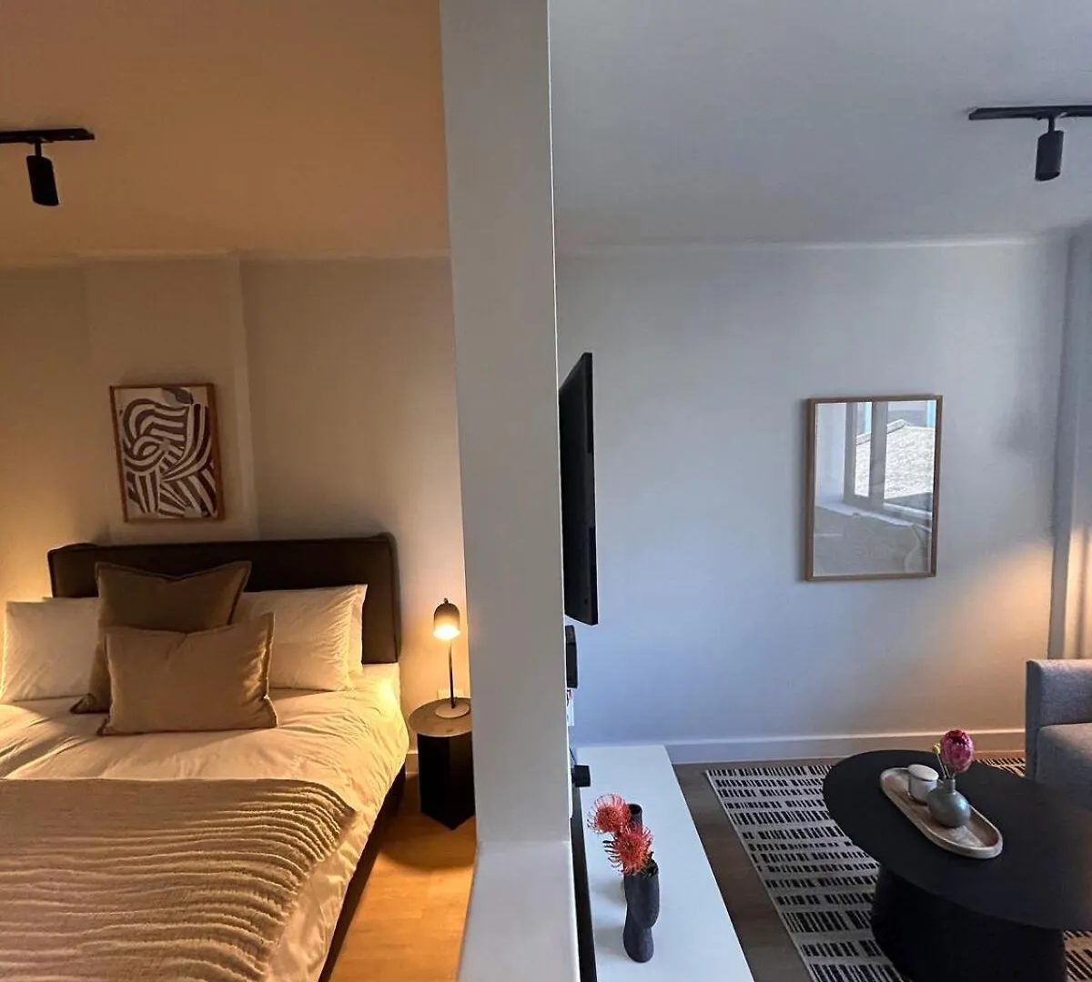 Luxurious Studio Apartment In Cape Town Central
